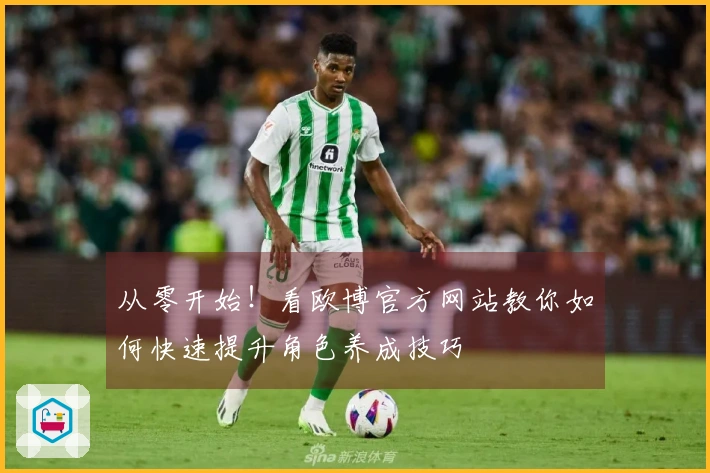 从零开始！看欧博官方网站教你如何快速提升角色养成技巧