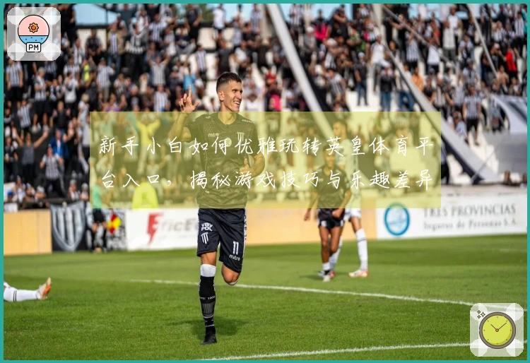 新手小白如何优雅玩转英皇体育平台入口，揭秘游戏技巧与乐趣差异